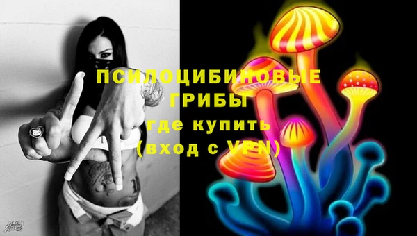 МДПВ Абдулино