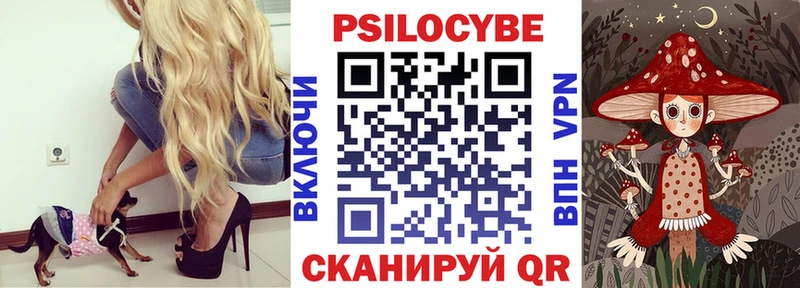Псилоцибиновые грибы прущие грибы  Чадан 